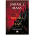 SARAH J. MAAS - Η ΒΑΣΙΛΙΣΣΑ ΤΩΝ ΣΚΙΩΝ