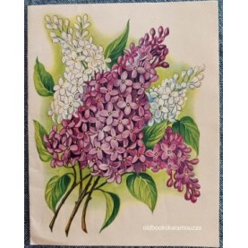 ΠΑΛΙΑ ΚΑΡΤΑ - ΠΑΣΧΑ 16